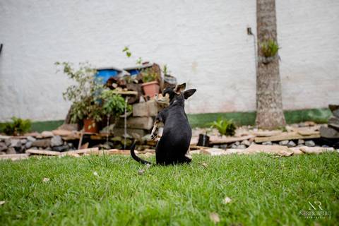 Ensaio gestante, ensaio gestante jiu jitsu, ensaio gestante floripa, ensaio gestante academia, ensaio gestante jiu jiteira, ensaio gestante academia jiu jitsu, braislian jiu jitsu, bjj, team vasques'