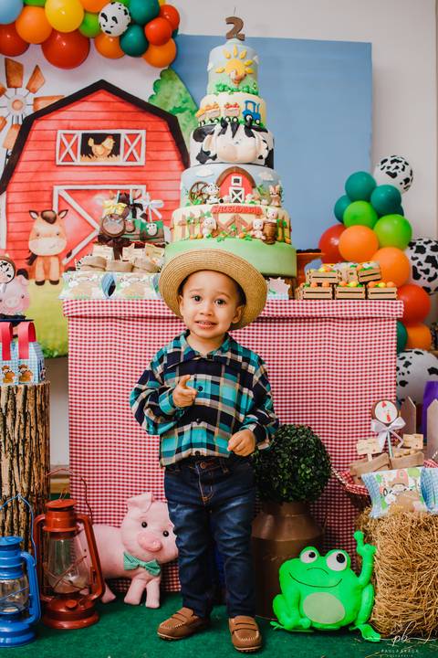 Festa infantil - Fazendinha'