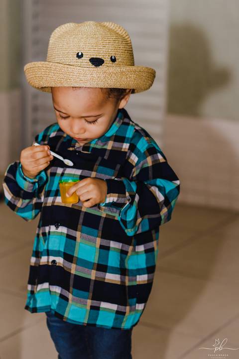 Festa infantil - Fazendinha'