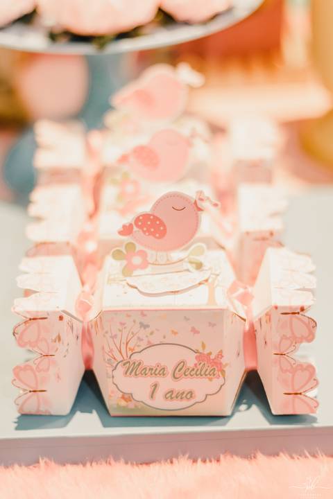 festa-infantil-menina-tema-jardim-encantado'