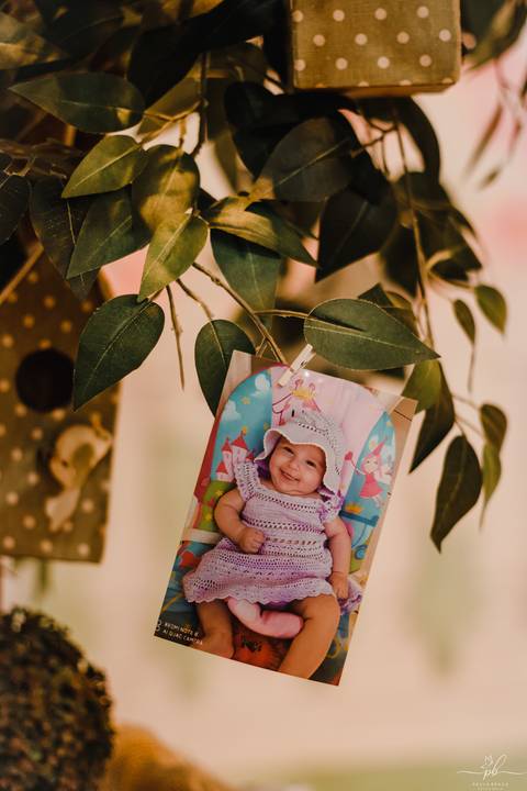 festa-infantil-menina-tema-jardim-encantado'