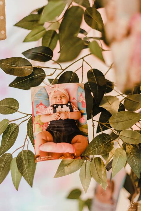 festa-infantil-menina-tema-jardim-encantado'