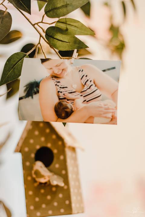 festa-infantil-menina-tema-jardim-encantado'