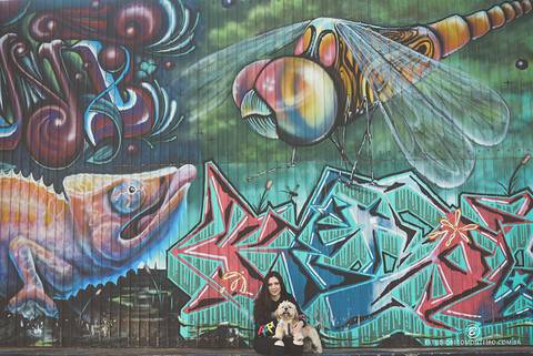 Street Book - 15 anos - Laylana - Curitiba - Fotografo'