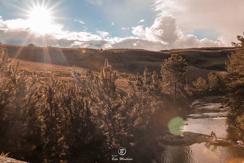 Casamento - Pré-Casamento - Pré-wedding - Trash the dress - Book de casal - Sessão de noivos - Estúdio Beto Monteiro - Curitiba - rio - montanha - floresta - violão - cantora - ceu azul - recanto dos papagaios - palmeira - Clarissa Bastos e Lucas Moreno'