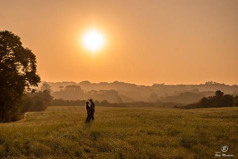 Book Pré-Casamento - Book Pré-wedding - Trash the dress - Book de casal - Sessão de noivos - Save the date - Estúdio Beto Monteiro - Curitiba - por do sol- araucaria - plantação'