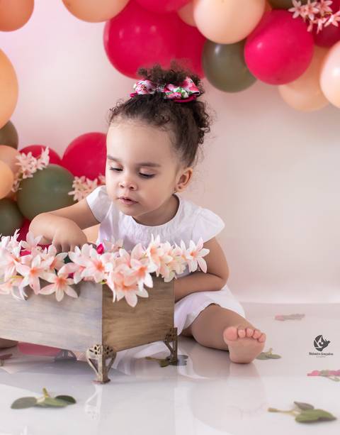 Smash The cake masha e o urso, foto de Helenice Gonçalves Fotografia, Brasília DF'