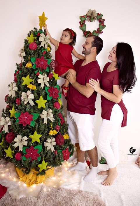 ensaio em familia de natal df, ensaio natal df, fotografia natal df, fotografia de natal por helenice gonçalves fotografia, retrato natal df'