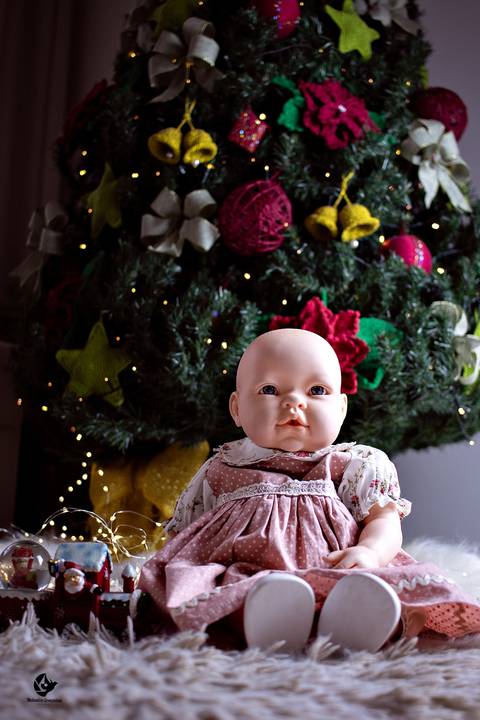 Fotografia em familia, fotos em brasilia, fotos de natal, fotografa brasilia DF, helenice gonçalves Fotografia, natal, natal 2022, retratos de natal df'