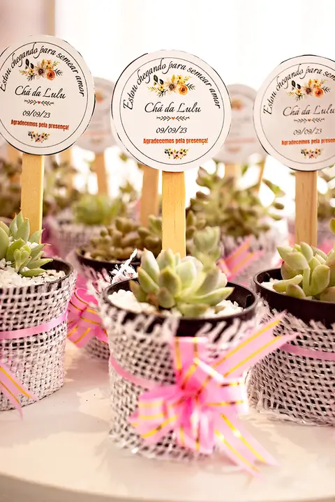 Chá de Fraldas Brasilia, Chá de Fraldas Anne Luise, Chá de Fraldas Df, Foto de chá de fraldas, foto de helenice gonçalves fotografia'