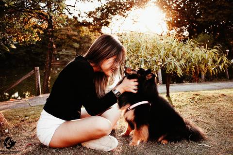 fotografia de pet, animal de estimação, retrato animal, retratos no parque, ensaio no parque com cachorro, retrato 15 anos, helenice gonçalves fotografia.'