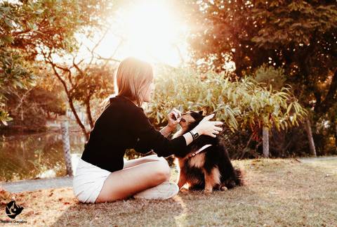 fotografia por sol. foto feminina por do sol, retrato feminino com animal de estimação, fotos em familia, foto feminina, brasilia df, helenice gonçalves fotografia'