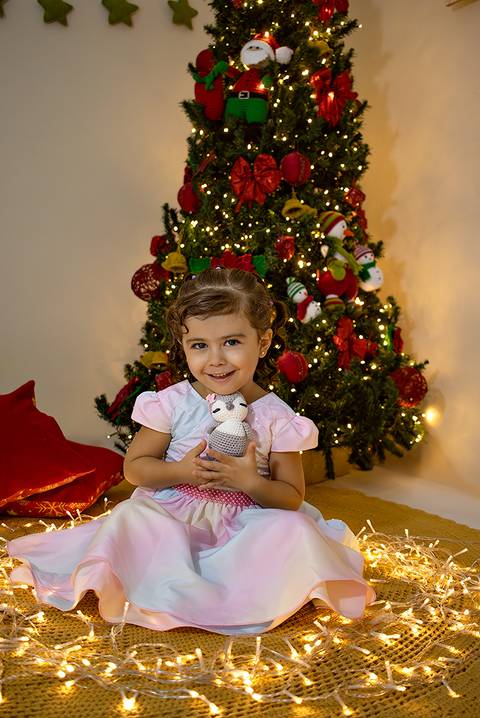 natal 2023; natal da marina; natal em brasilia df; ensaio de natal Distrito Federal; fotografia de natal; natal ;'