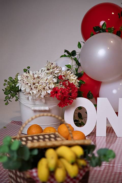 ensaio de menino com tema de piquinique para primeiro aniversario'