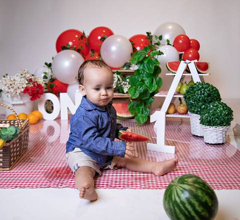 fotografia de primeiro aniversario tema piquinique menino'