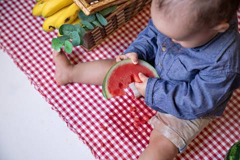 ensaio smash the cake menino em brasilia df com tema de piquinique'