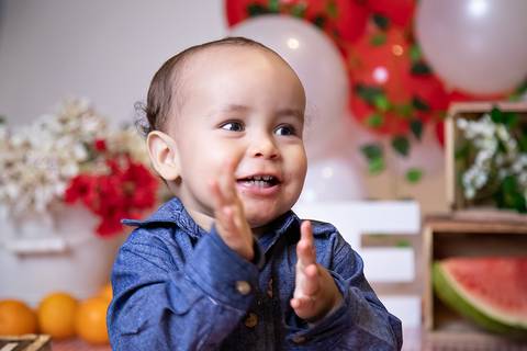 tema piquinique para ensaio smash the cake menino'