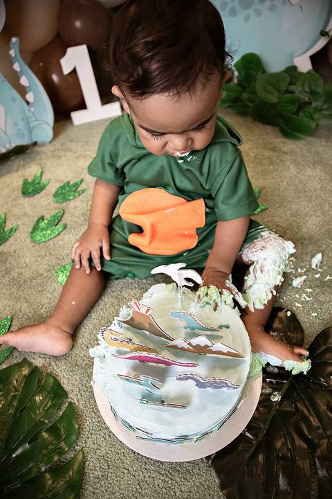 foto de familia, ensaio smash the cake tema dino baby menino em brasilia em estudio df por helenice'