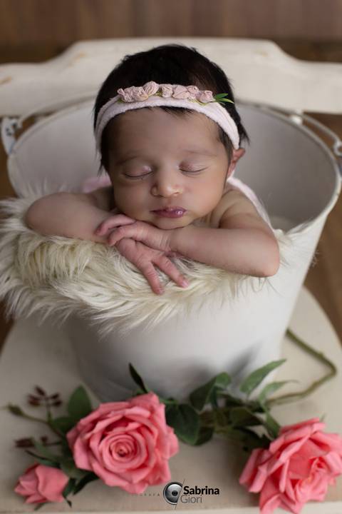 ensaio newborn em bh com a família '