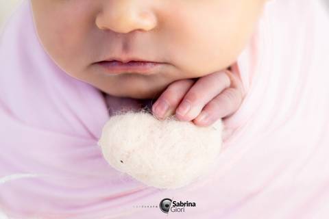 Ensaio fotográfico newborn em bh '