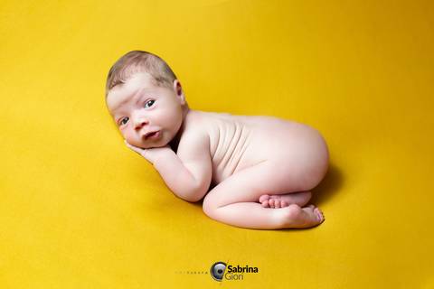 Ensaio fotográfico newborn em bh '