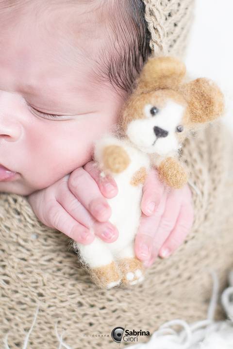 ensaio newborn em bh '