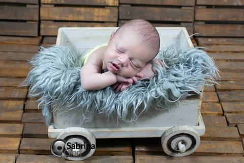 Ensaio newborn Belo horizonte'