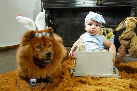 Acompanhamento fotográfico infantil em BH'