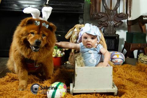 Acompanhamento fotográfico infantil em BH'