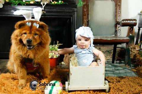 Acompanhamento fotográfico infantil em BH'