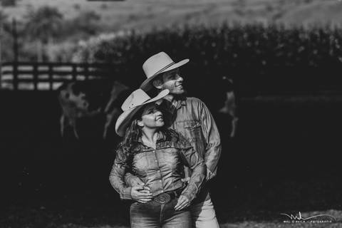 casal-country-vacas-milho'