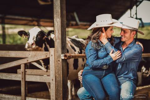 casal-country-vacas-milho'
