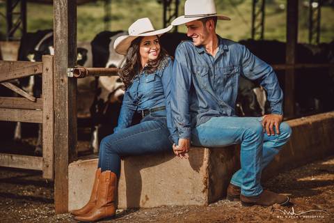 casal-country-vacas-milho'