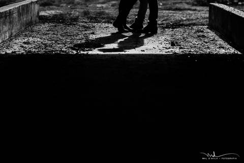 casal-country-vacas-milho'