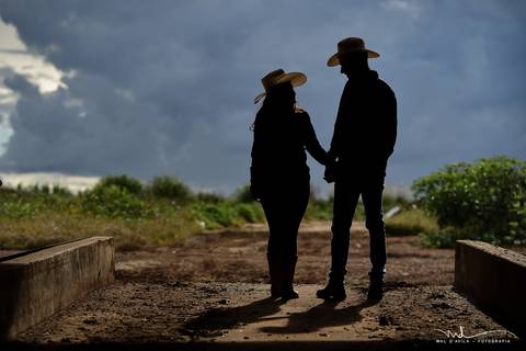 casal-country-vacas-milho'