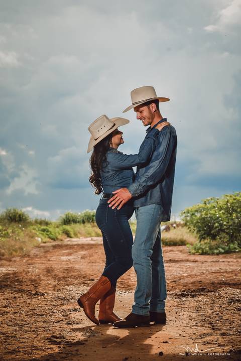 casal-country-vacas-milho'