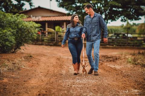 casal-country-vacas-milho'