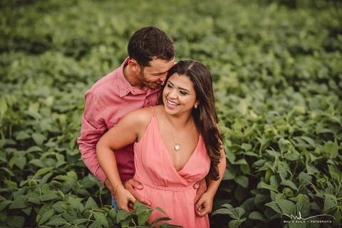 casal-country-vacas-milho'