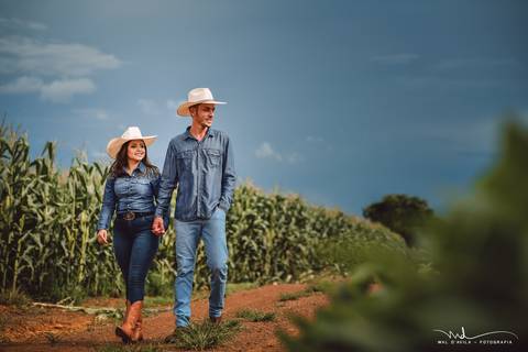 casal-country-vacas-milho'