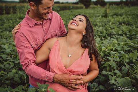 casal-country-vacas-milho'