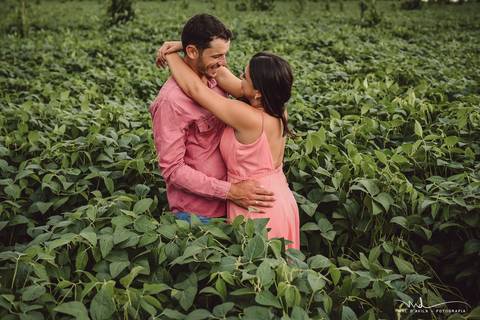 casal-country-vacas-milho'