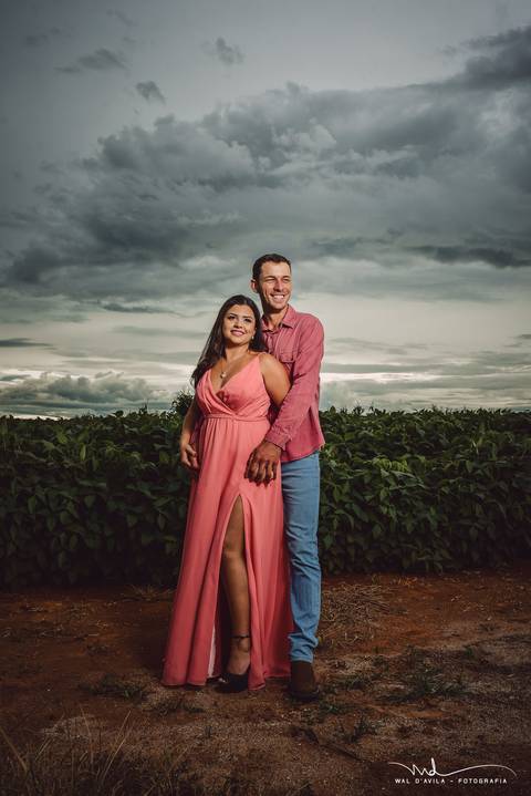 casal-country-vacas-milho'