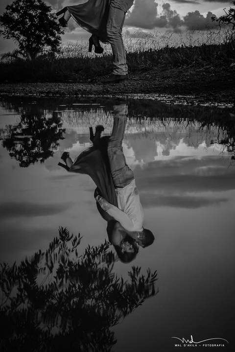 casal-country-vacas-milho'