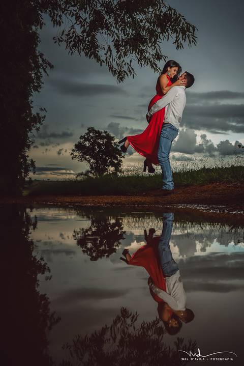 casal-country-vacas-milho'