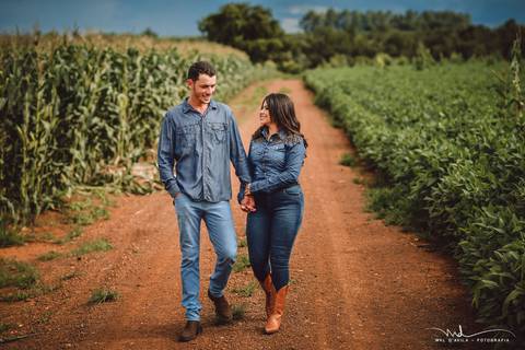 casal-country-vacas-milho'