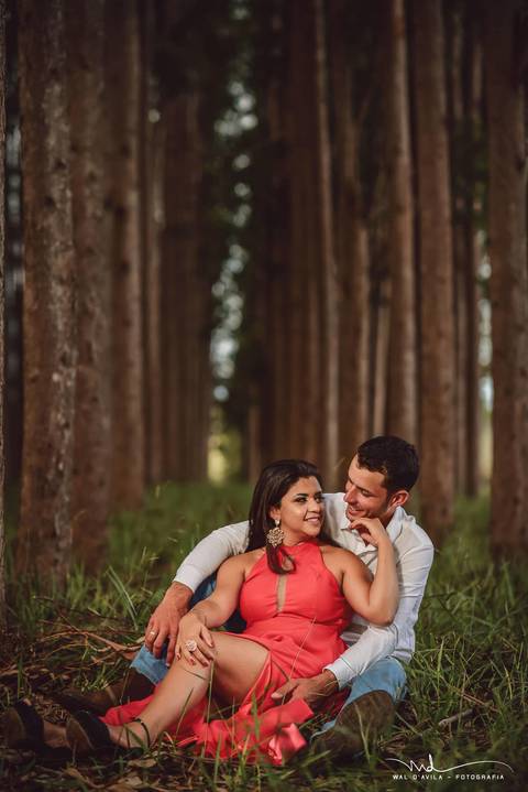 casal-country-vacas-milho'