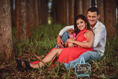 casal-country-vacas-milho'