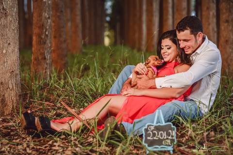 casal-country-vacas-milho'