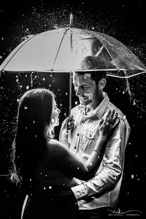 casal-country-vacas-milho'