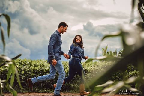 casal-country-vacas-milho'